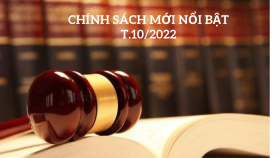 chính sách mới